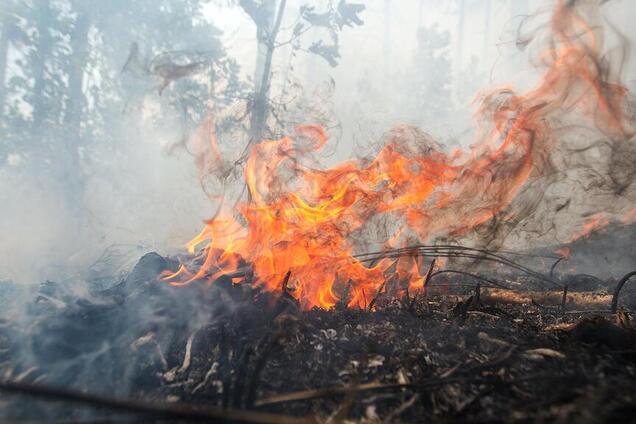 Кремль готовится к новой карательной акции
