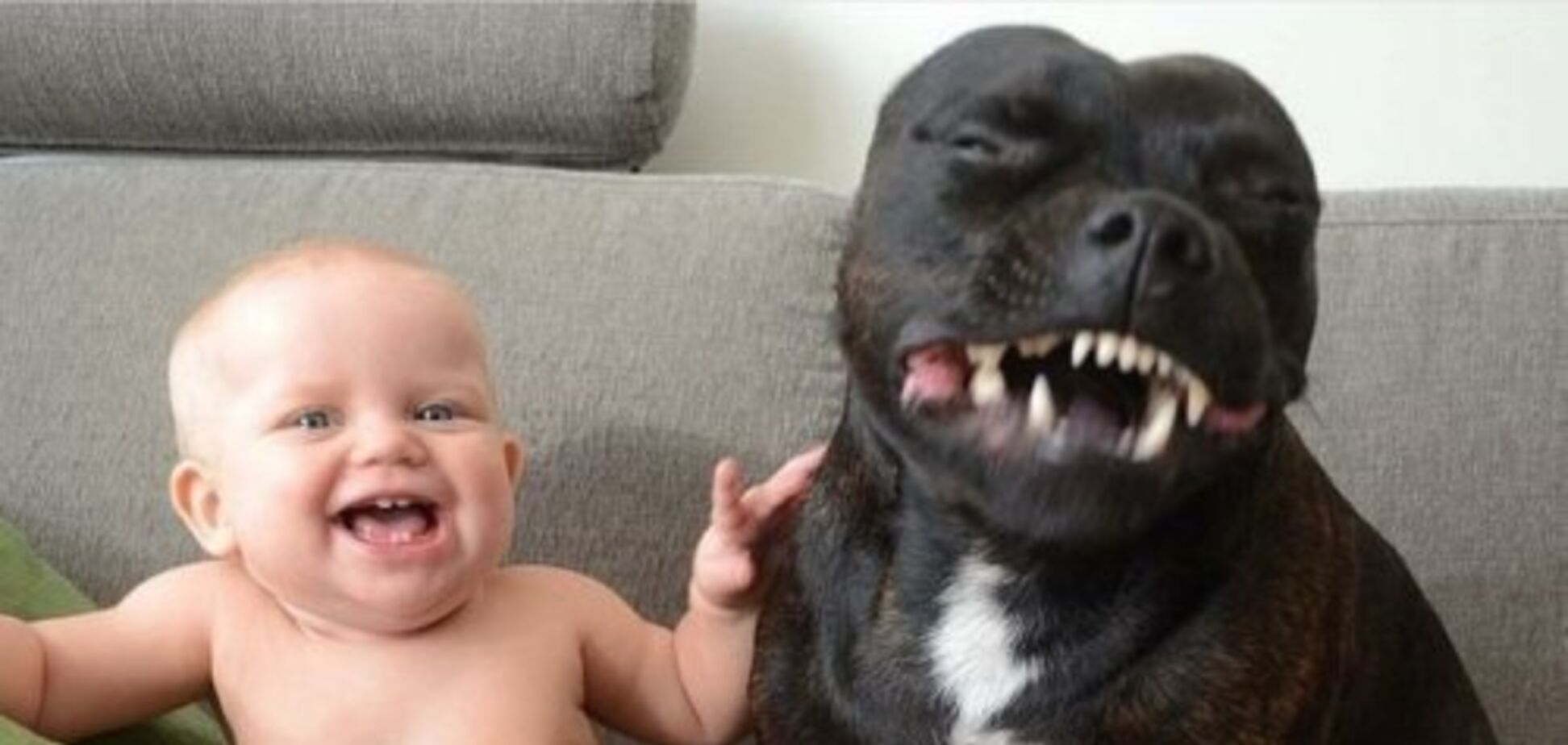 Лучшие друзья: забавные фото детей с их четвероногими любимцами