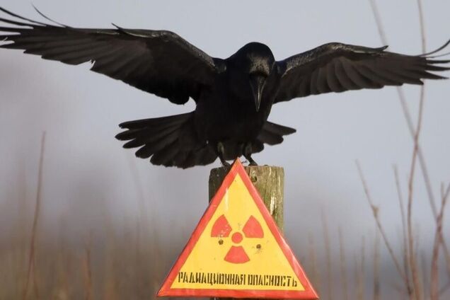 Даже мир имеет свою цену. Ее заплатит каждый из нас