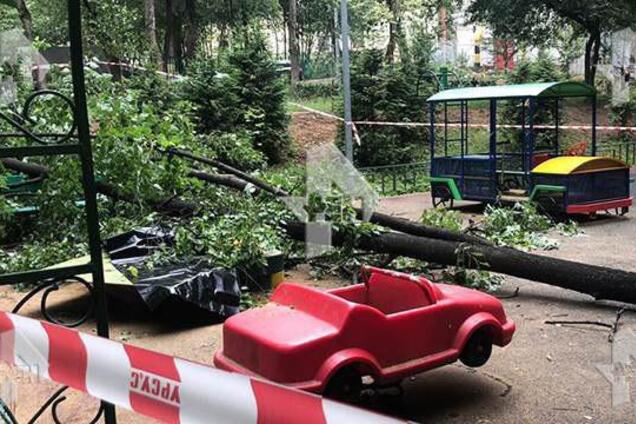 На глазах у матери: в Москве упавшее дерево убило ребенка. Видео 18+
