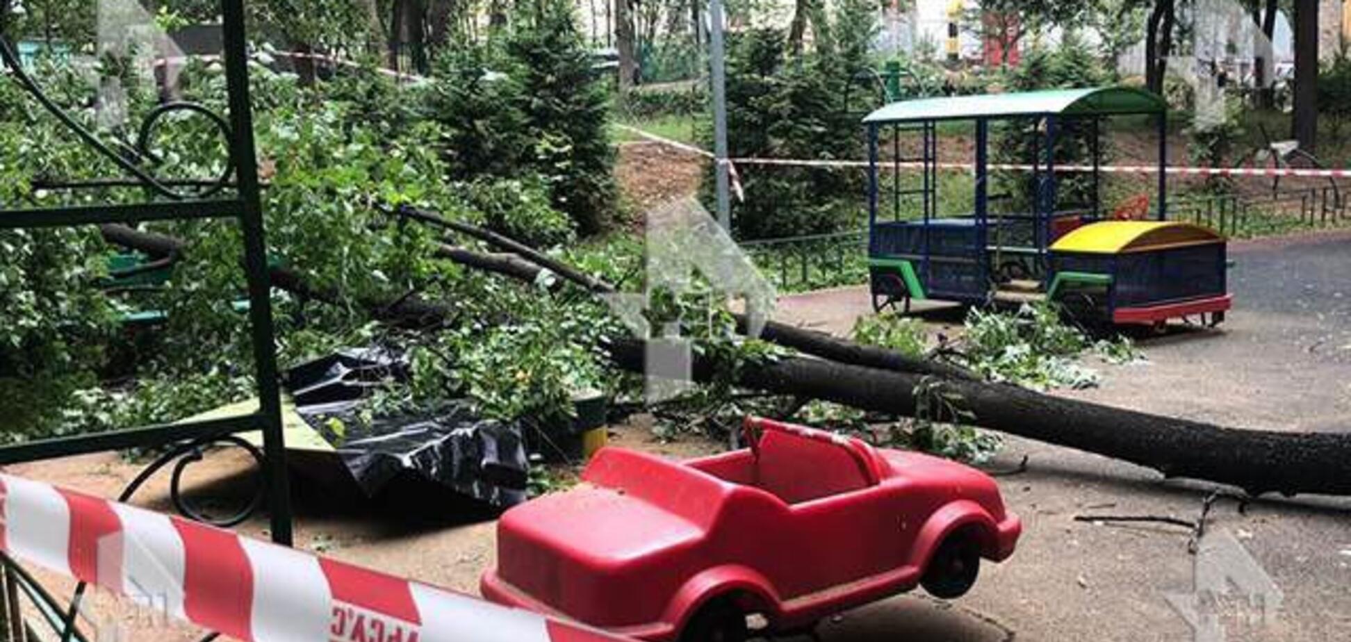 На глазах у матери: в Москве упавшее дерево убило ребенка. Видео 18+