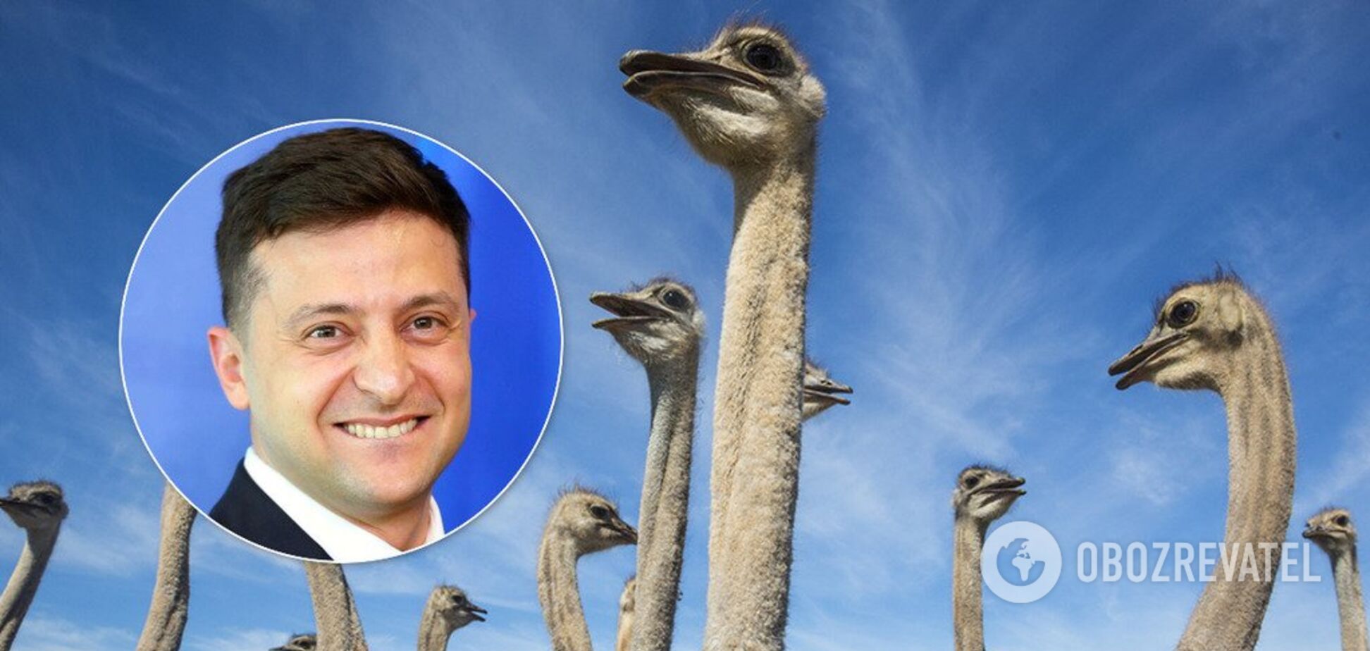 Владимир Зеленский