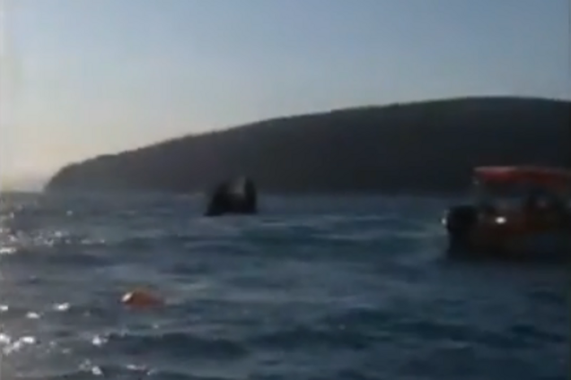 Перевантажений у 5 разів: з'явилися нові деталі аварії корабля в Чорному морі