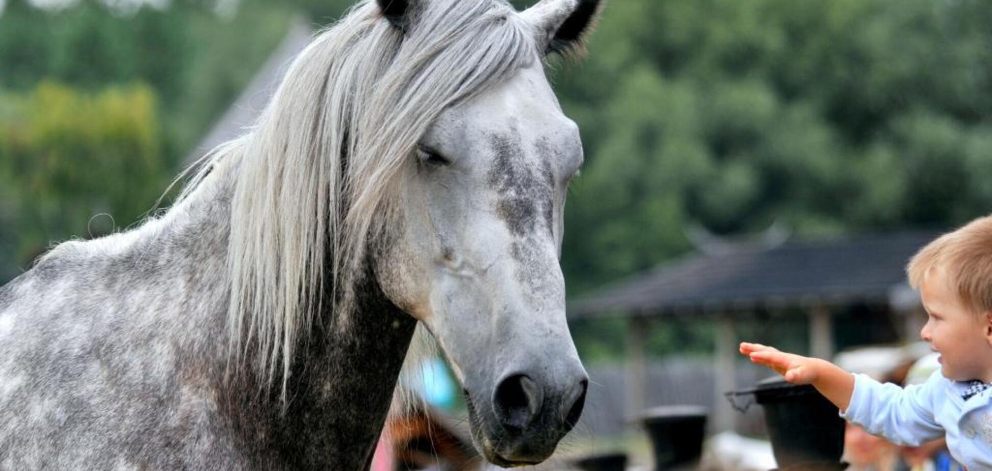 На Киевщине покажут уникальных животных