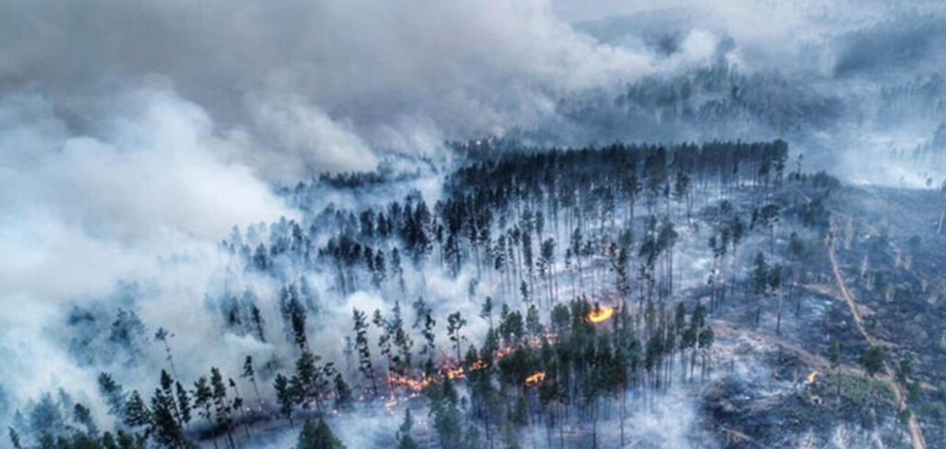 Пожежі в сибірській тайзі