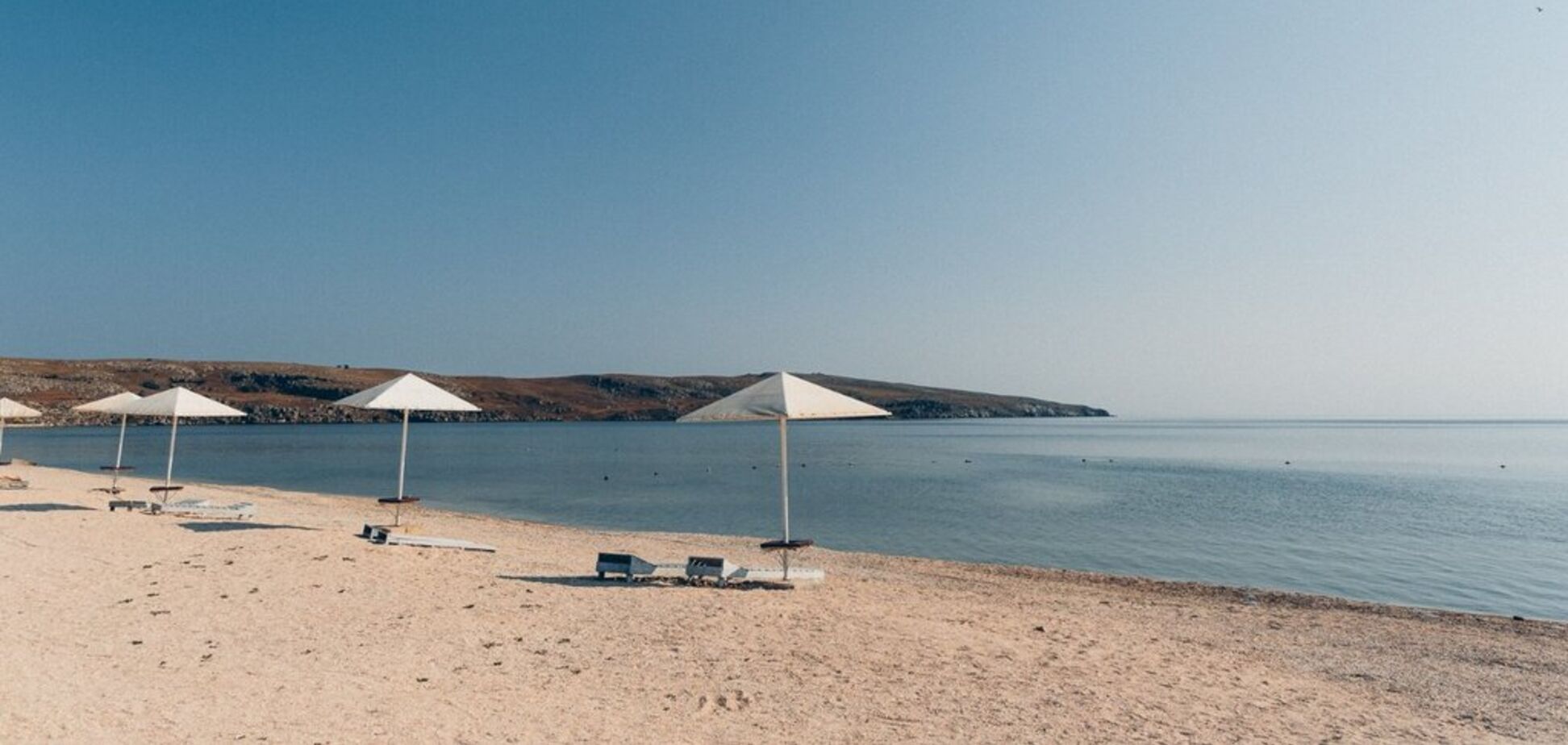 У Криму показали тисячі мертвих медуз і спорожнілі пляжі: фото