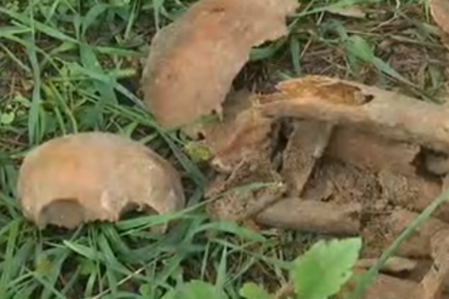 Найденные останки