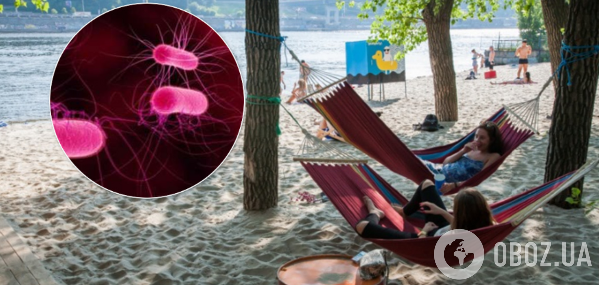 Кишкова паличка