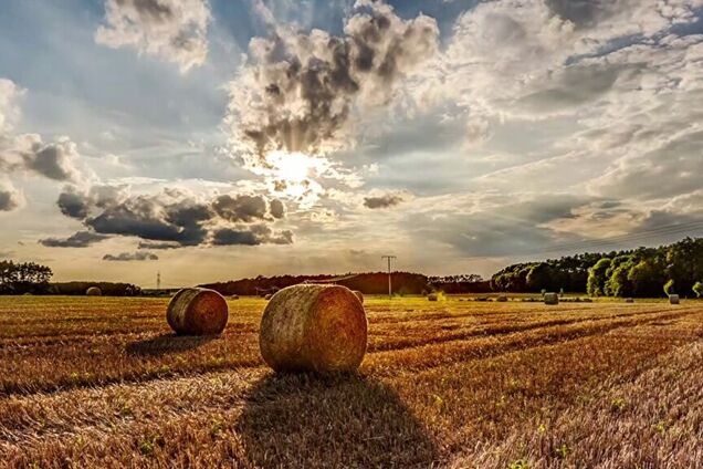 Мрія Зеленського про українську землю