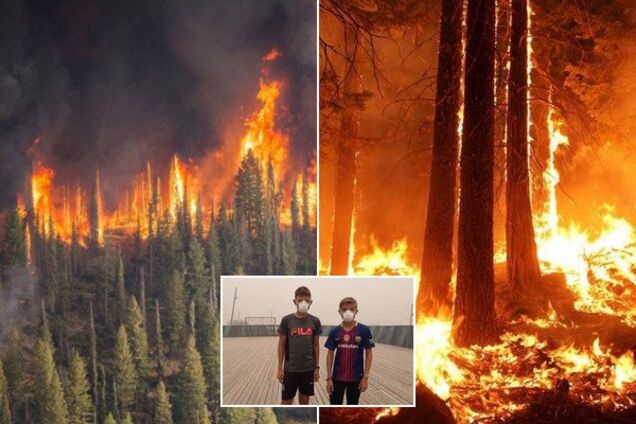 'Сил уже нет. Помогите!' Россияне задыхаются от пожаров в Сибири: в сети истерика