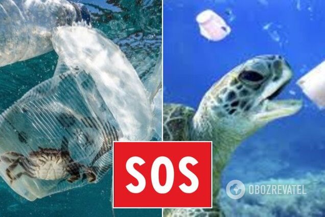 Очистить океан от пластика: назван способ