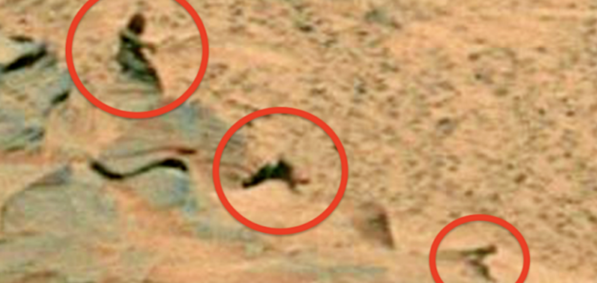 На Марсе засекли инопланетян