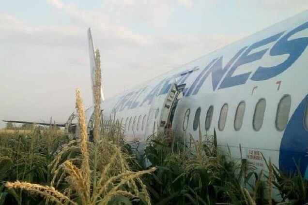 Самолет РФ сел на поле