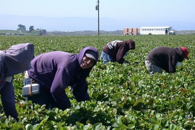 Де в Дніпрі знайти 'польську' зарплату