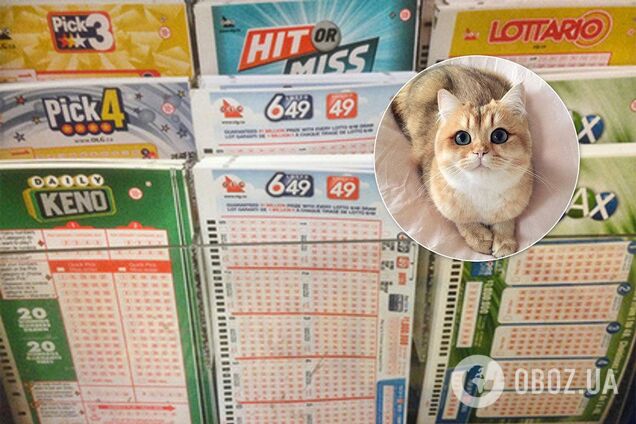 В Англии супруги сорвали джекпот необычным образом