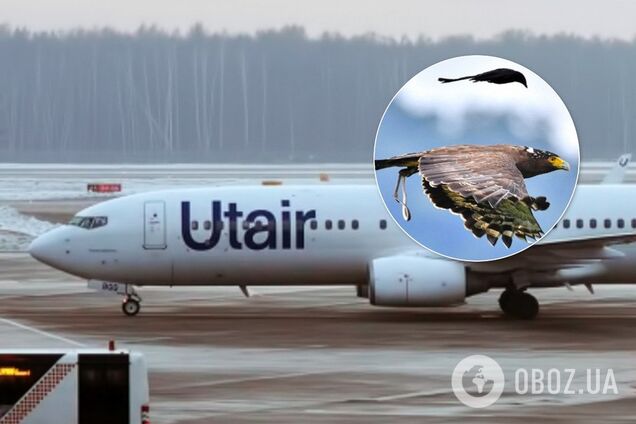 У Росії черговий літак потрапив у НС через пташку
