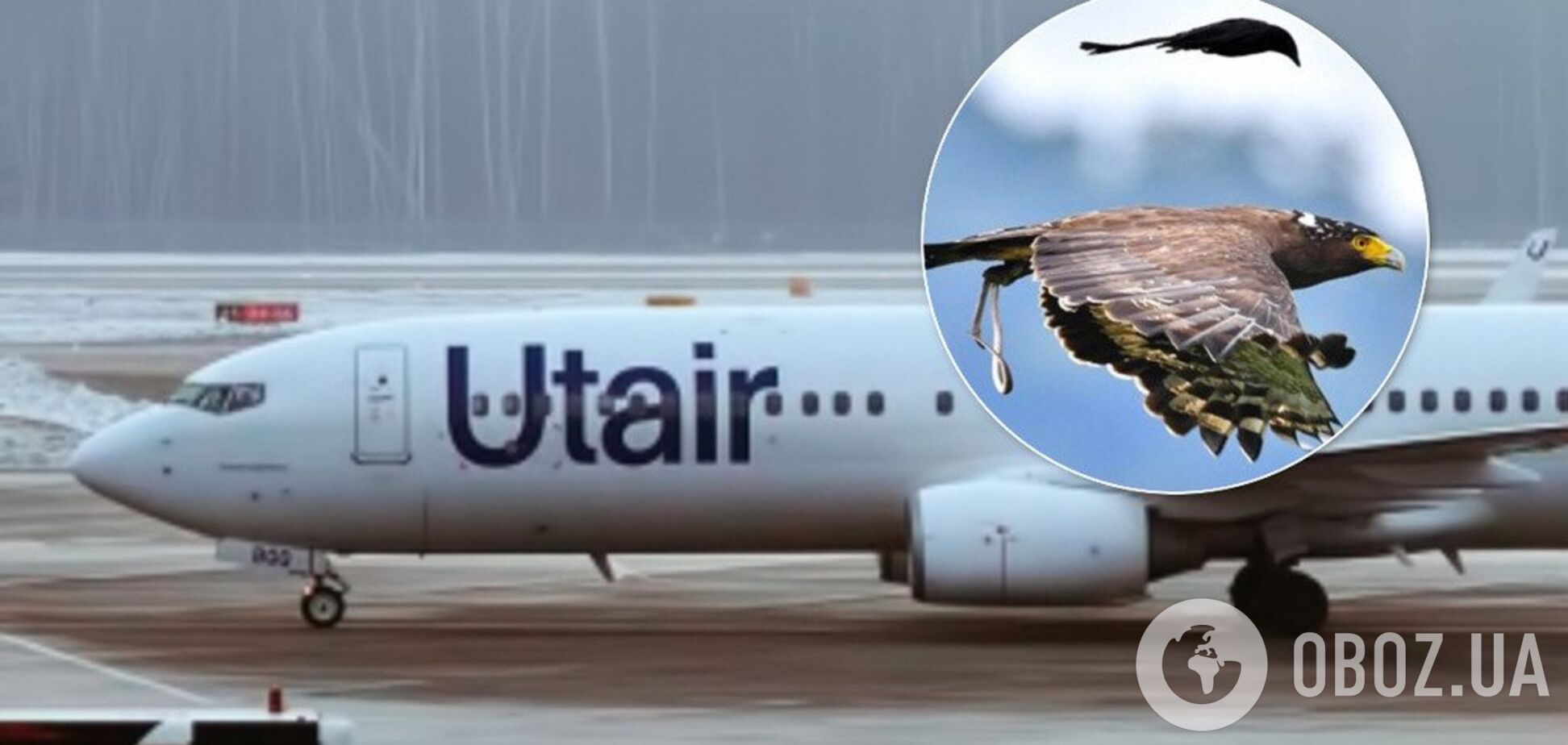 У Росії літак потрапив у НС через пташку