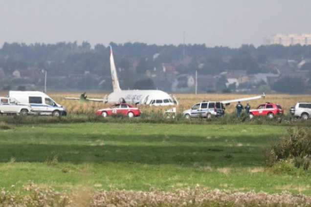 Стая чаек атаковала самолет, летевший в Крым: момент попал на видео