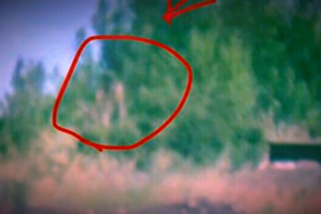 'Выпустили 'птичек': волонтер опубликовал видео ликвидации террористов на Донбассе