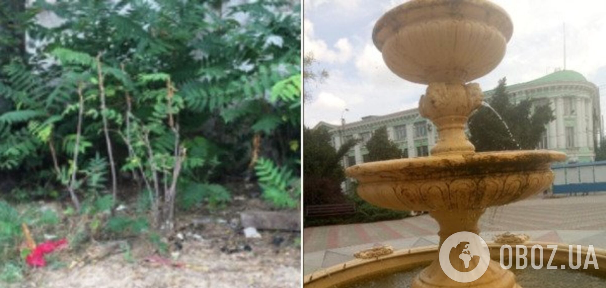 В Крыму жители пожаловались на жуткое загрязнение