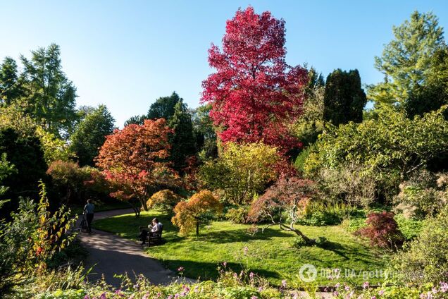 Погода в Виннице: прогноз на 19-25 августа