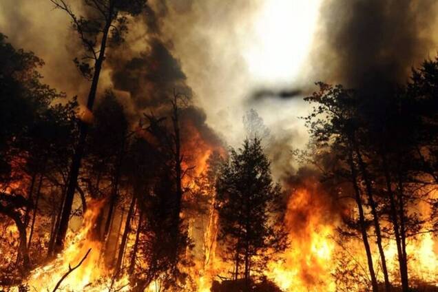 'Уже не остановить': озвучен страшный прогноз по пожарам в Сибири