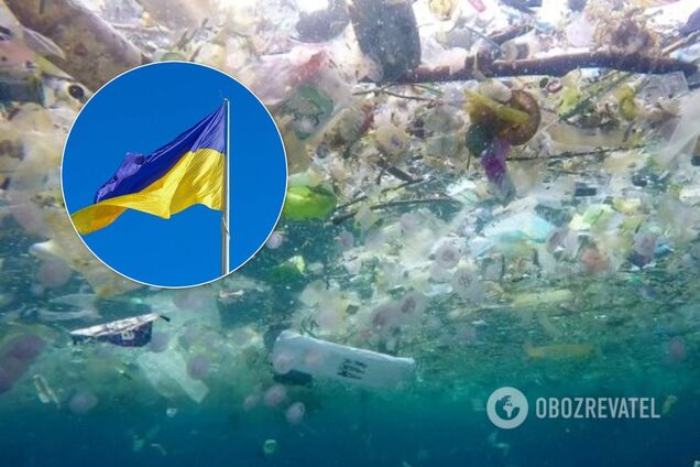 Черное море на пороге экологической катастрофы: как спасти ситуацию