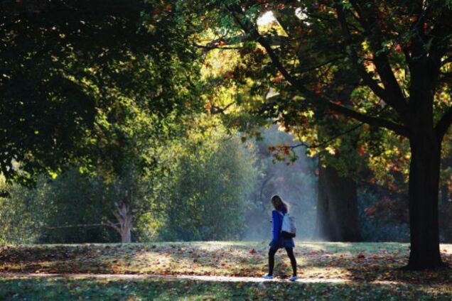 Дыхание осени: синоптики пообещали Украине серьезное похолодание