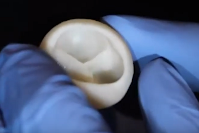 Ученим США вдалося надрукувати на 3D-принтері клапан для серця. Відеофакт