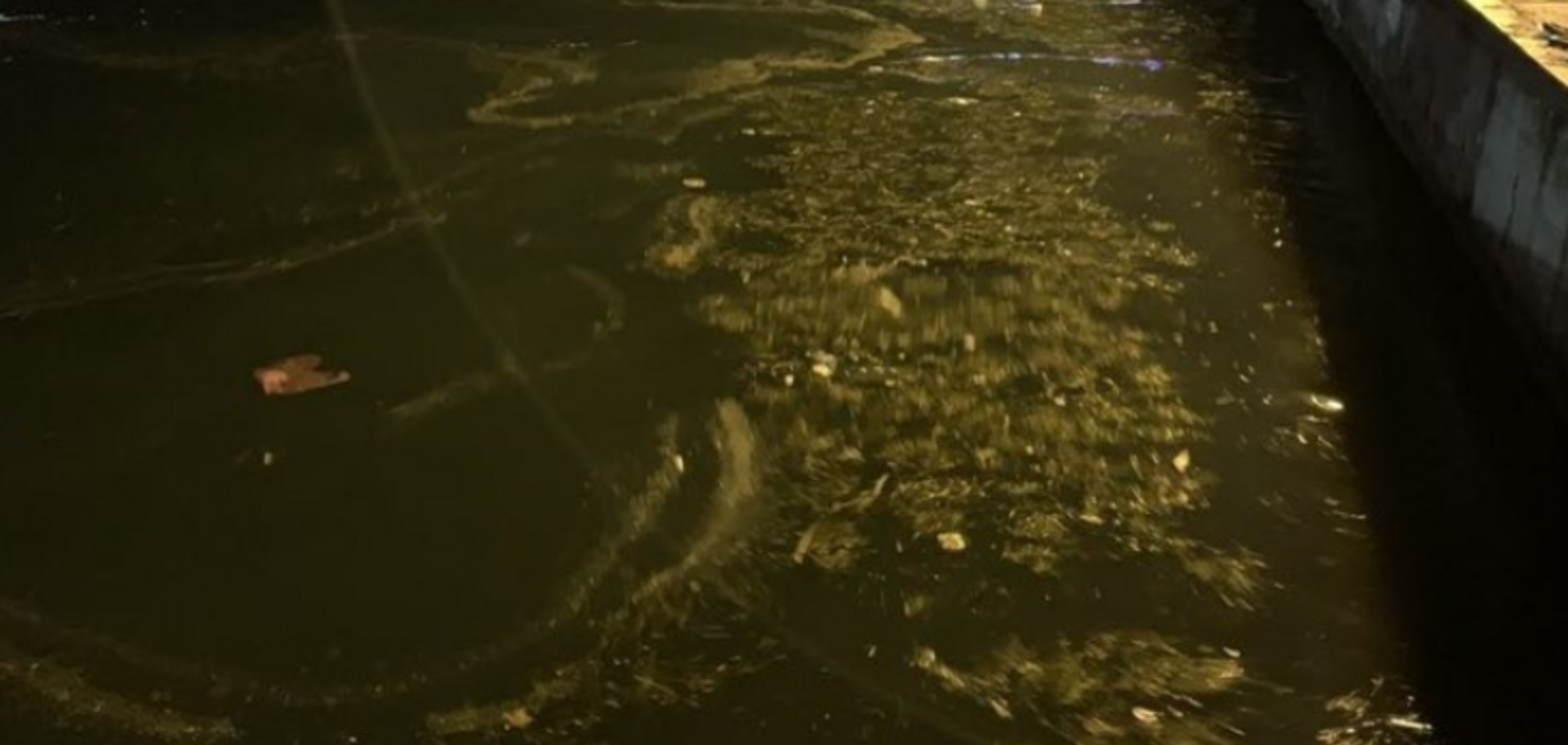 В Крыму отравили побережье Черного моря