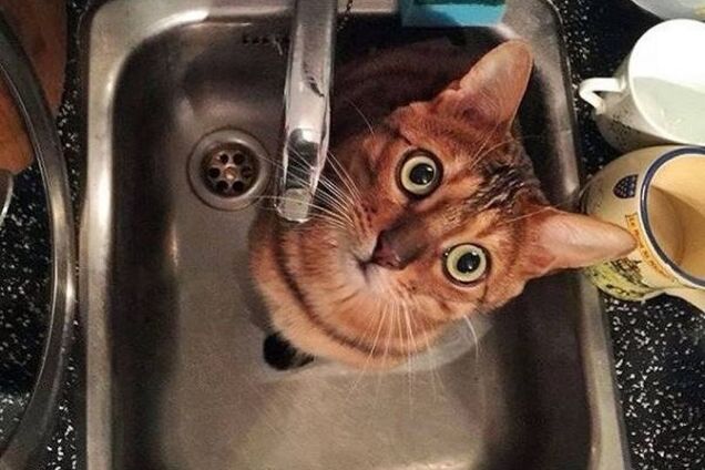 Через аварію центр Дніпра залишиться без води: названі адреси