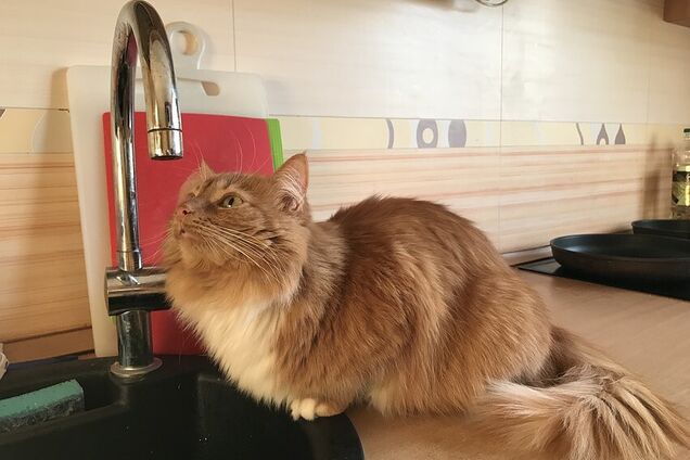 Центр Дніпра на цілий день залишиться без води: список адрес