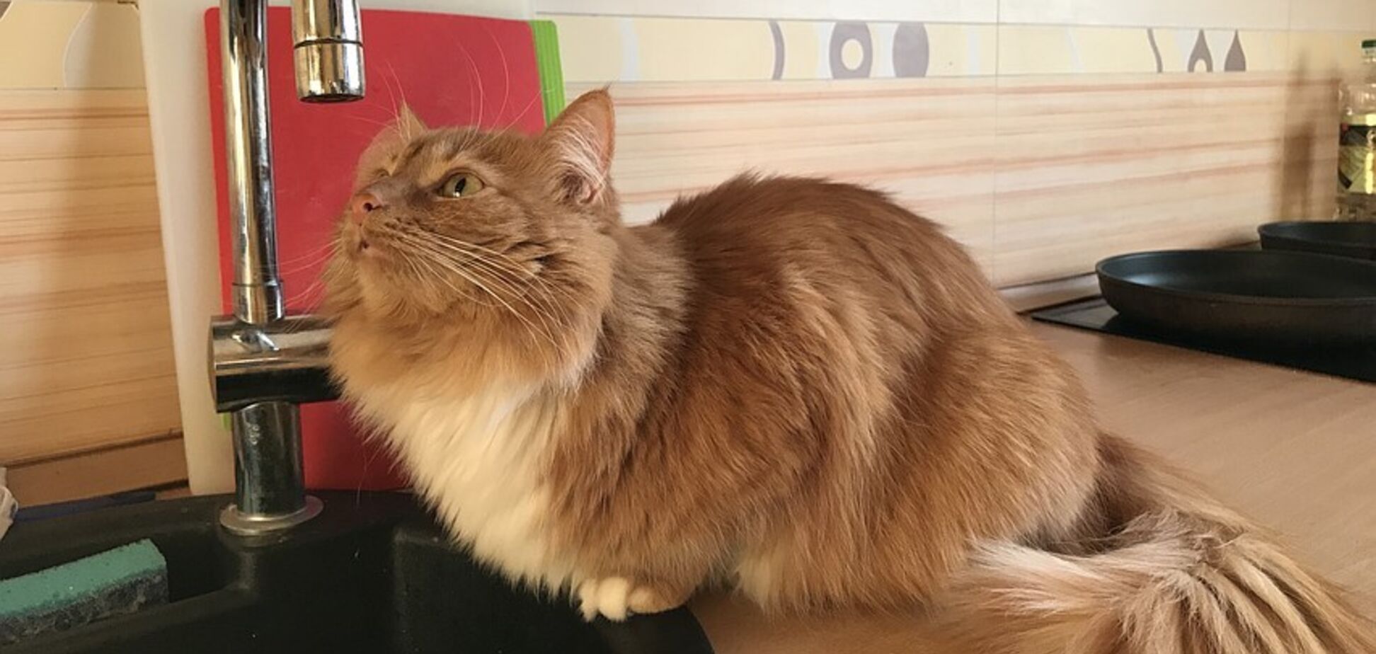 Центр Дніпра на цілий день залишиться без води: список адрес