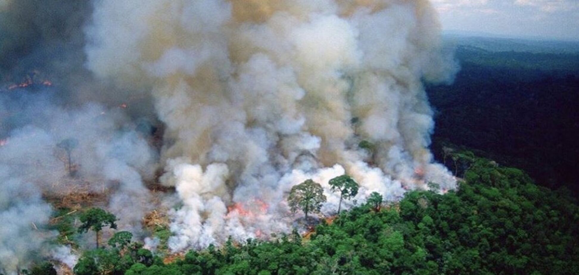Бразилию накрыли рекордные пожары