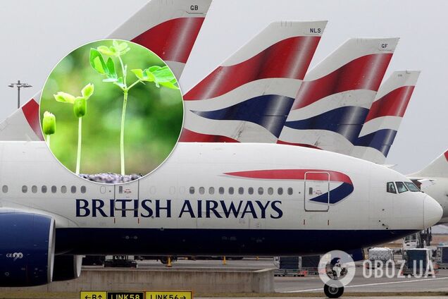Зі сміття: у Британії авіакомпанії зважилися на радикальний крок