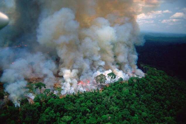 Масштабні пожежі в Бразилії