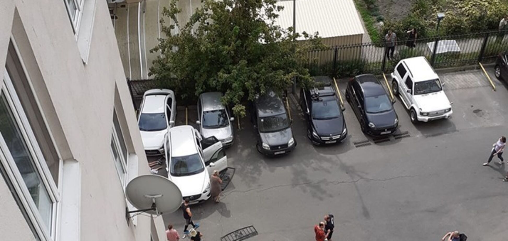 Аварія з тещею Притули і Хомутинніка: в справі помітили чергові дивацтва