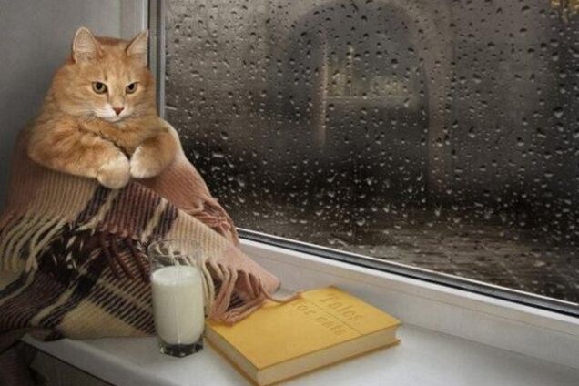 Синоптики изменили прогноз на сентябрь