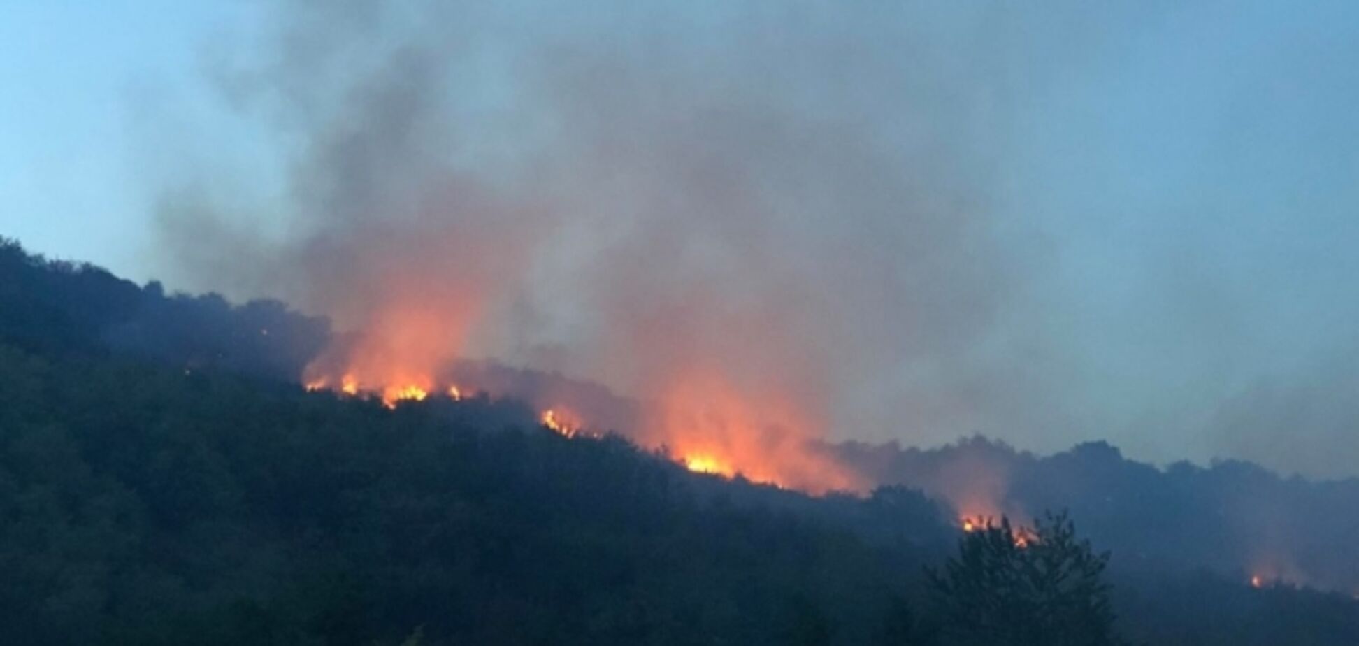 На Закарпатті потужна пожежа підібралася до лісу: фото вогняного Армагеддону