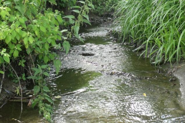 Ручей в Киеве