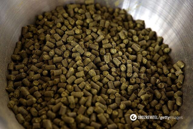 Обікрали: біопаливний інвестор з Китаю зі скандалом покинув Росію