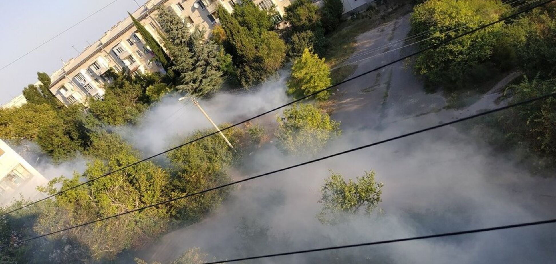 В Крыму оккупанты залили улицы химической отравой. Фото