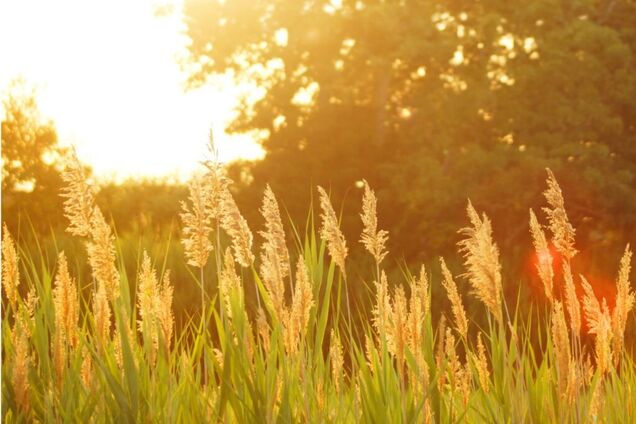 Синоптики дали тривожний прогноз по Дніпру на вихідні
