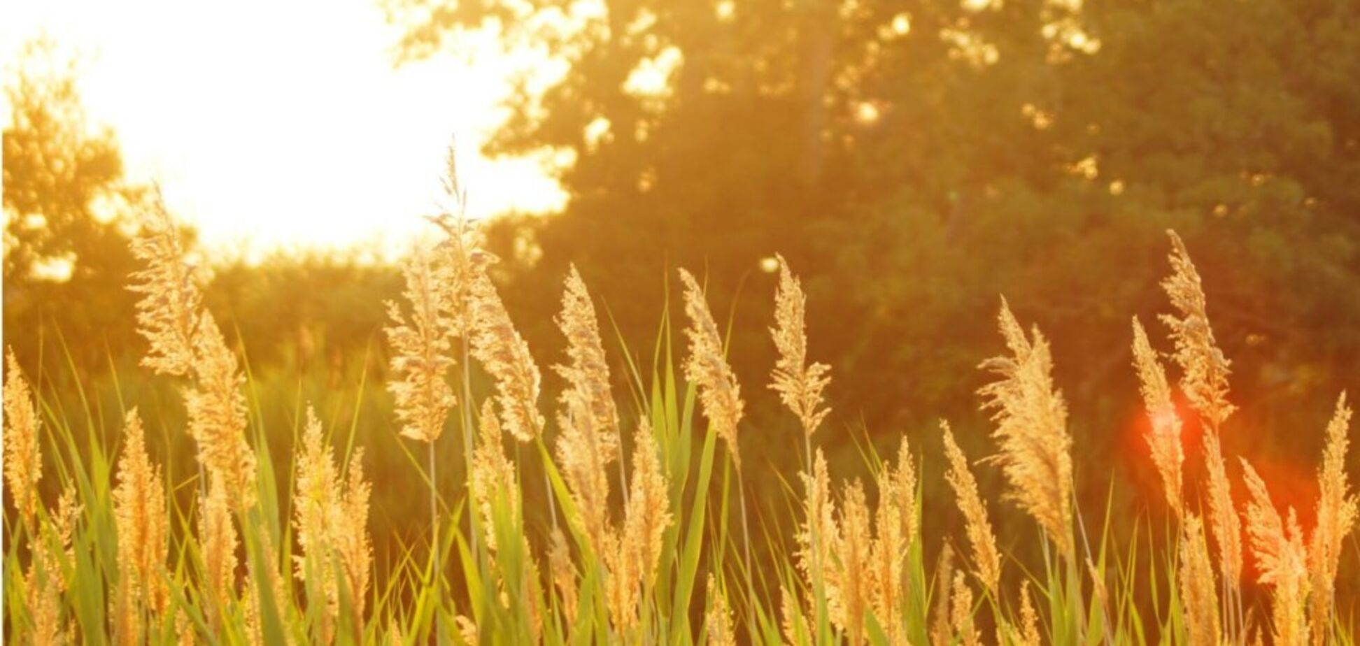 Синоптики дали тривожний прогноз по Дніпру на вихідні