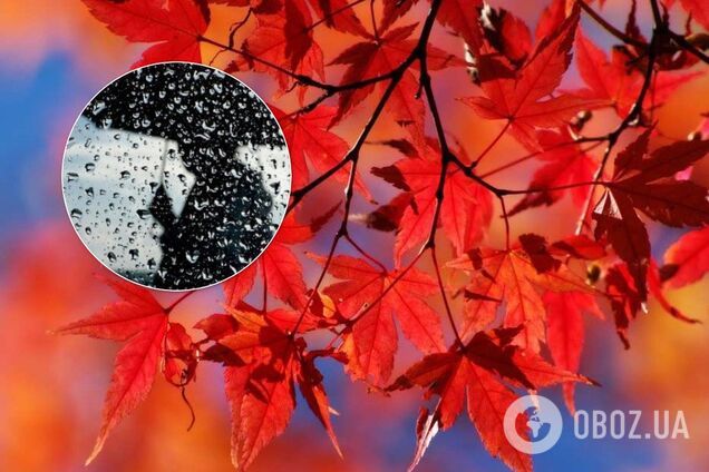 Появился прогноз погоды в Киеве на выходные