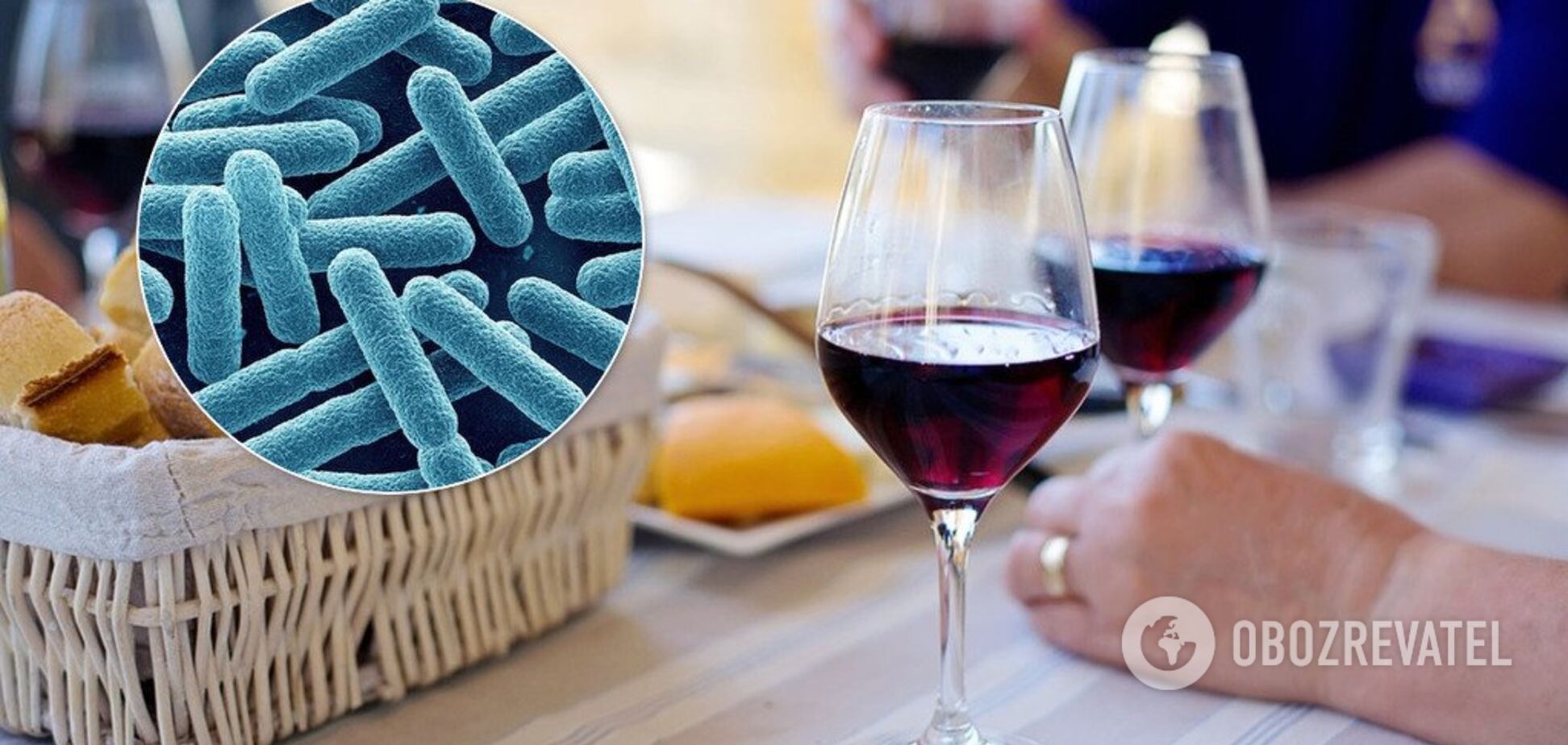 Красное вино полезно для кишечной микрофлоры?
