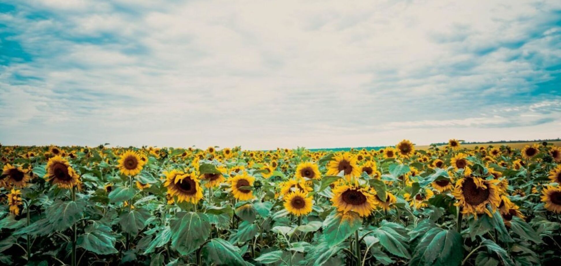 Спека прощається? Синоптики уточнили прогноз на останній літній день в Україні