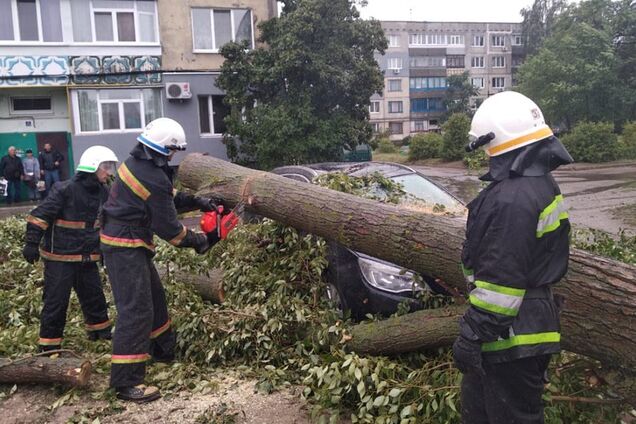 Поваленные деревья и затопленные подвалы: как Днепропетровщина пережила бурю