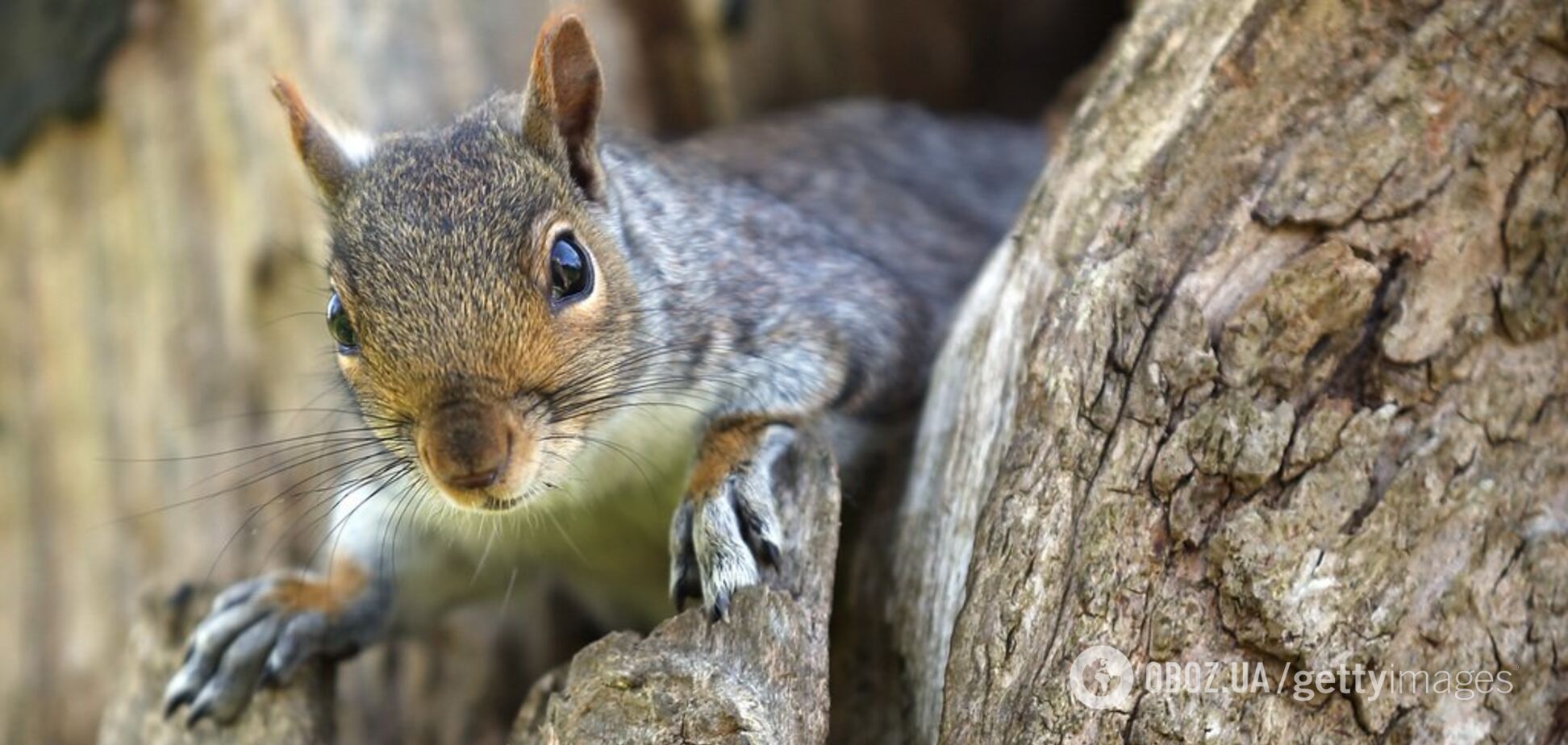 Погода в Харькове: прогноз на 5-11 августа