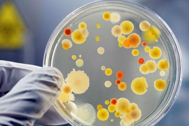 Ученые назвали новый фактор устойчивости 'супербактерий'